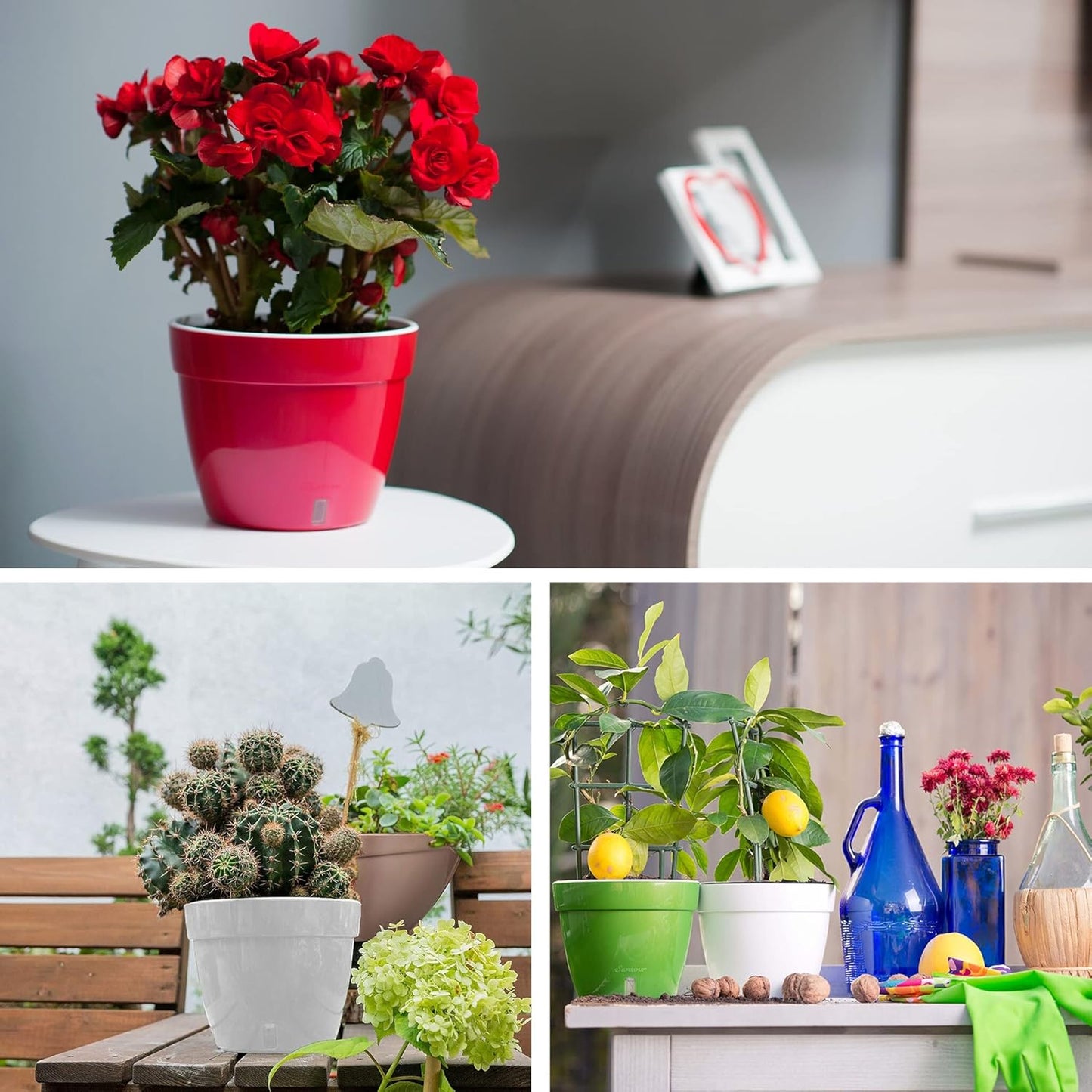 Santino AST 7.1 Inch Self Watering Planter Green-Gold/White Set of 3 for Indoor Plants