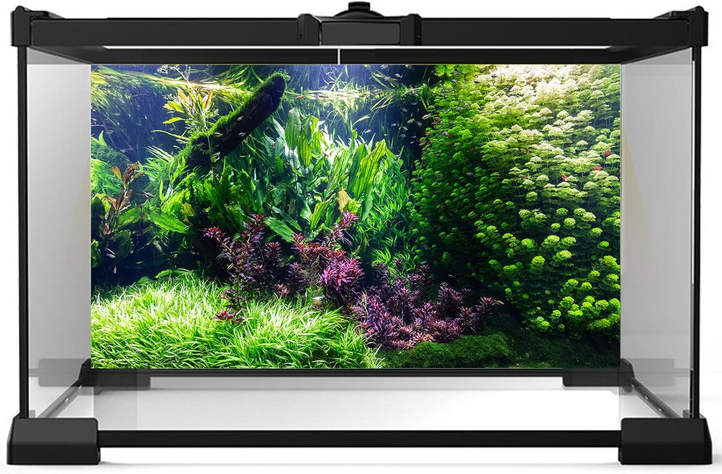 Aquarium Background Various Underwater Grass Plants Aquarium Backdrop Vivid and Fresh Green Aquatic Plants Stone River Bed and Dead Wood Tank Background Vinyl 72x24in