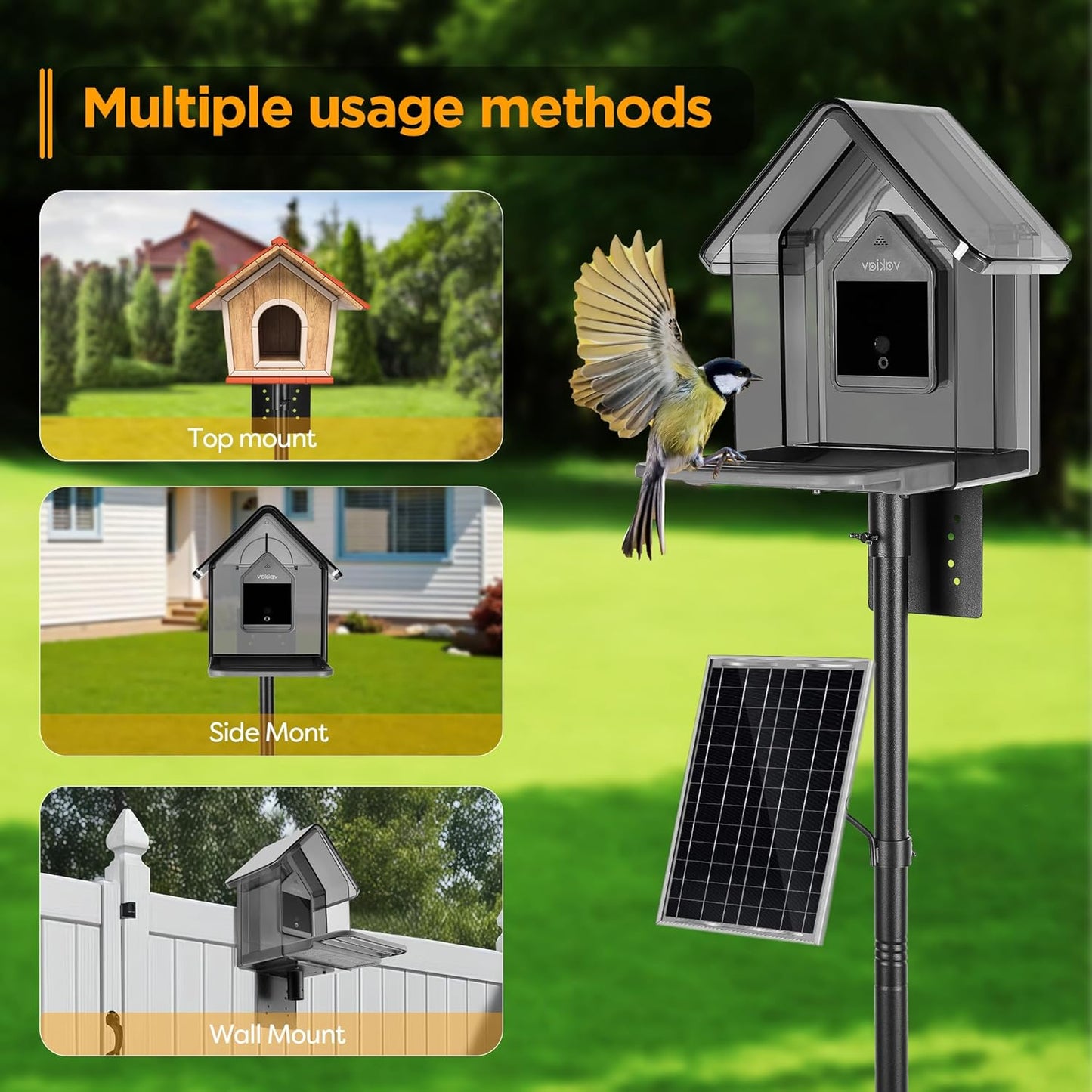 Bird House Pole Kit, Heavy-Duty Adjustable Pole for Outdoors with 5 Prongs Base,Metal Universal Support Pole for Bird Feeders,Solar Pannel,Black