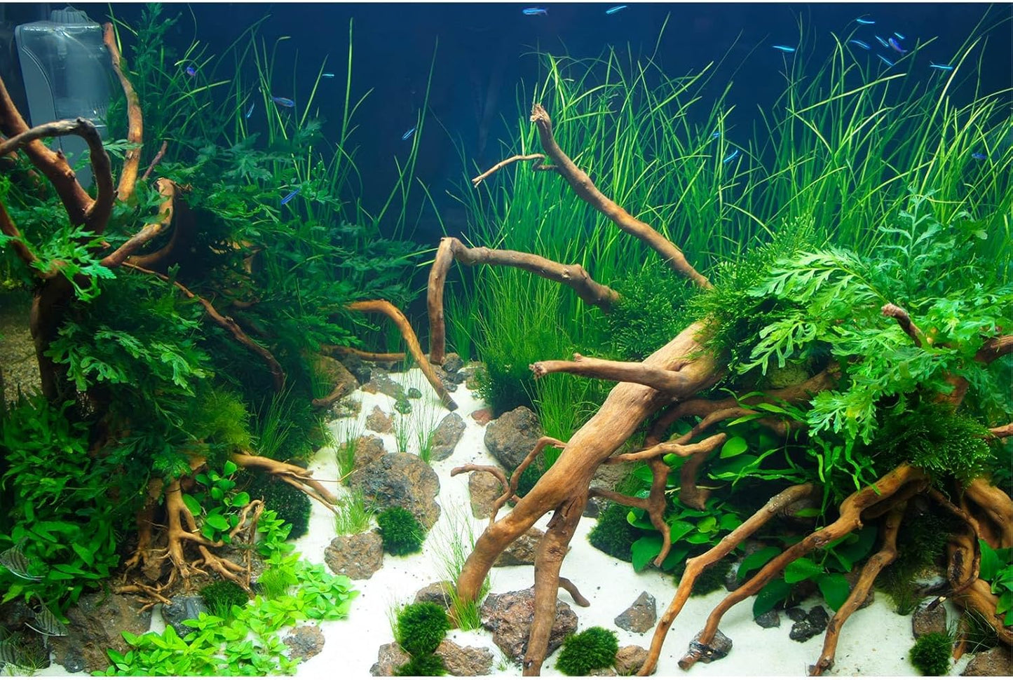 Aquarium Background Various Underwater Grass Fish Tank Background Vivid Fresh Green Aquatic Plants Stone River Bed Dead Wood Stone Fish Tank Terrarium Wallpaper 30x12in