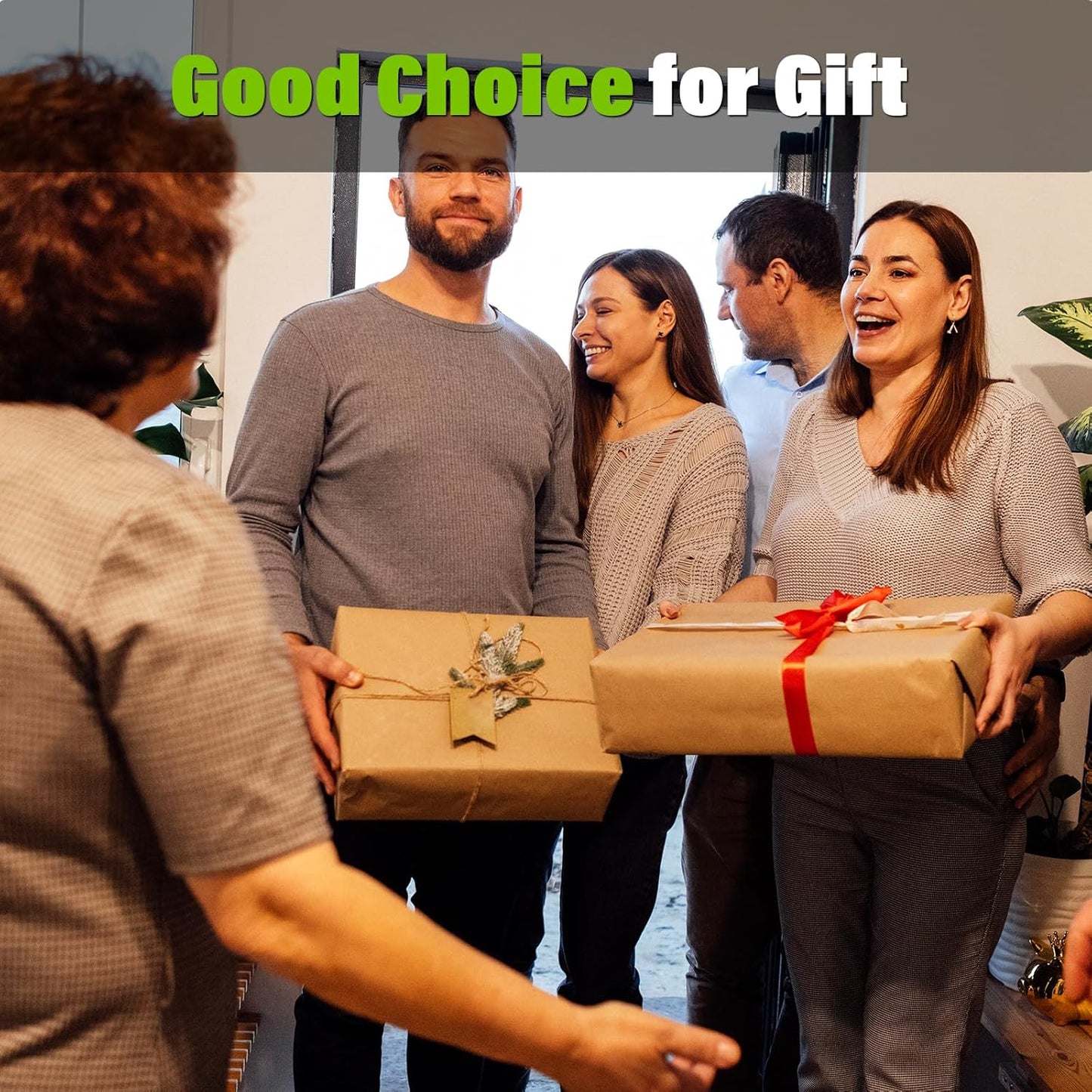 SEYVUM Cordless Leaf Blower, 20V Blower with 2 X 2.0 Ah Battery, Electric Blower for Lawn Care, 350 CFM 150 MPH Battery Powered Leaf Blower with Charger, for Patio, Garden Cleaning, Green