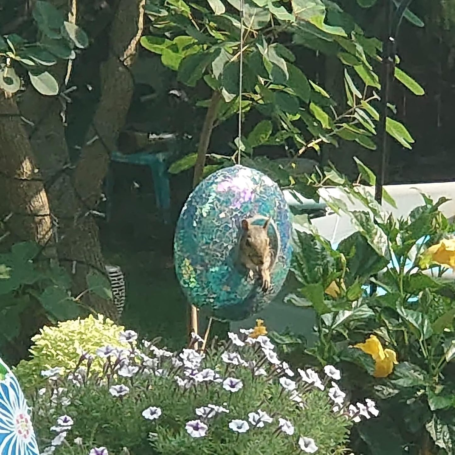 Fly Through Wild Bird Feeder Garden Hanging Bird Feeder Mosaic Circle Squirrel Proof for Outdoor Decoration,Blue