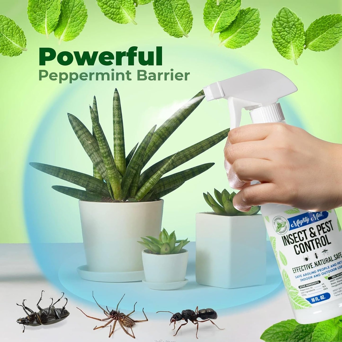 Mighty Mint Peppermint Oil Insect Repellent Spray – Natural Indoor & Outdoor Bug Control for Spiders, Ants, Roaches, and More – Plant-Based, Extra-Strong Formula - 16 oz (Pack of 2)