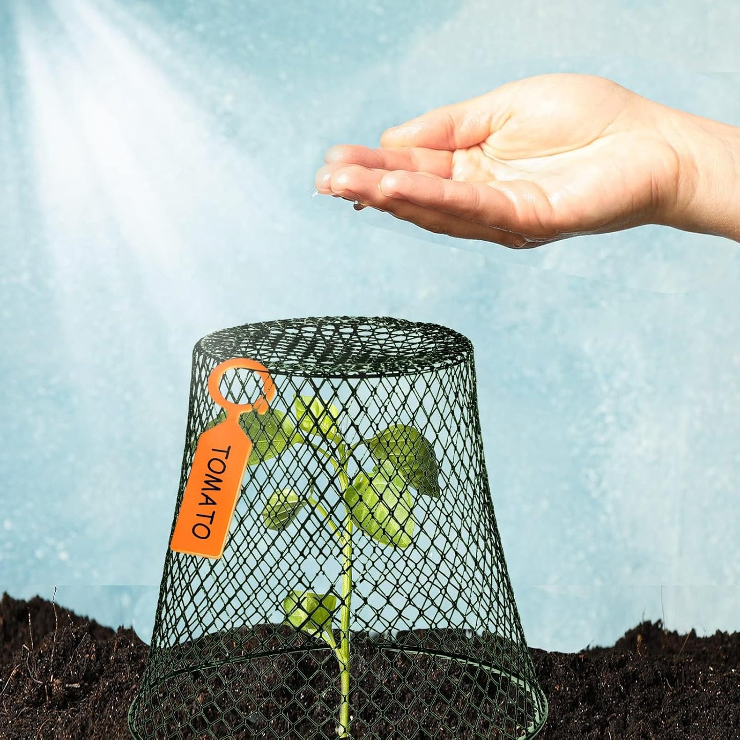 10 Pcs Garden Chicken Wire Plant Covers, 11x11Inch Metal Wire Garden Cloches Chicken Wire Cloche Plant Protector Heavy Duty Garden Plant Cloche for Keeping Bunnies Chicken Squirrels Birds Other Out