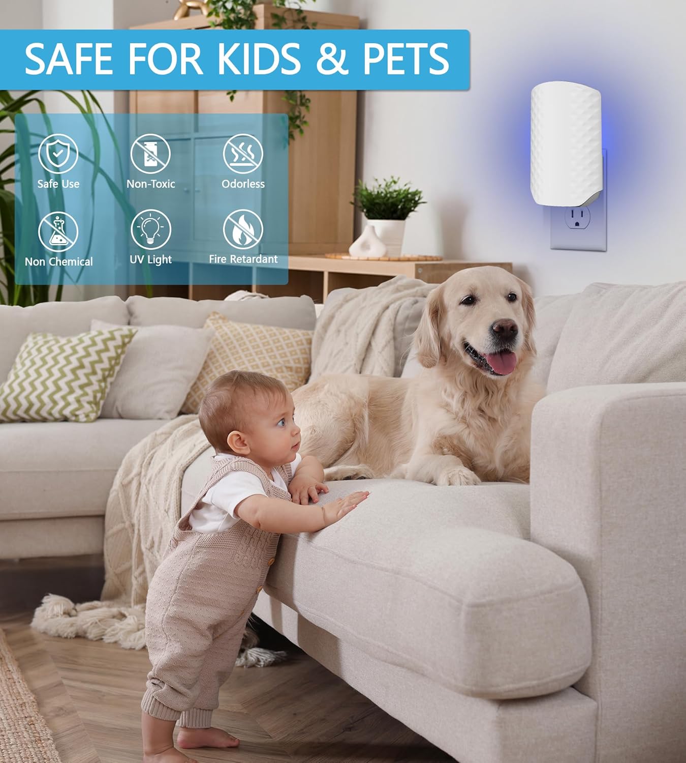 5PCS Refills for WowCatch Flying Insect Trap N386E, Original Super Sticky Cards, High Efficiently Stick Fruit Flies, Gnats, Moths, and Houseflies (Refill Only)