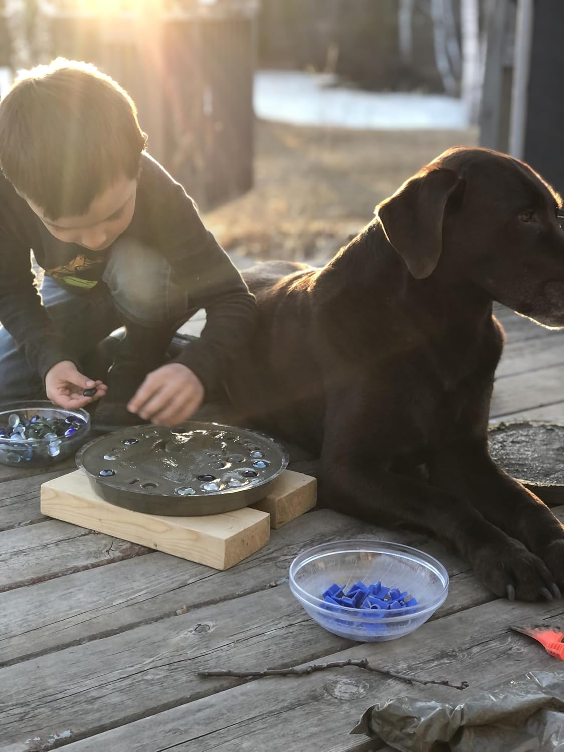 DIY Paw Print Stepping Stone Kit, Pet Memorial Stone, Pet Garden Stone (10 Inch + Stamp Set)