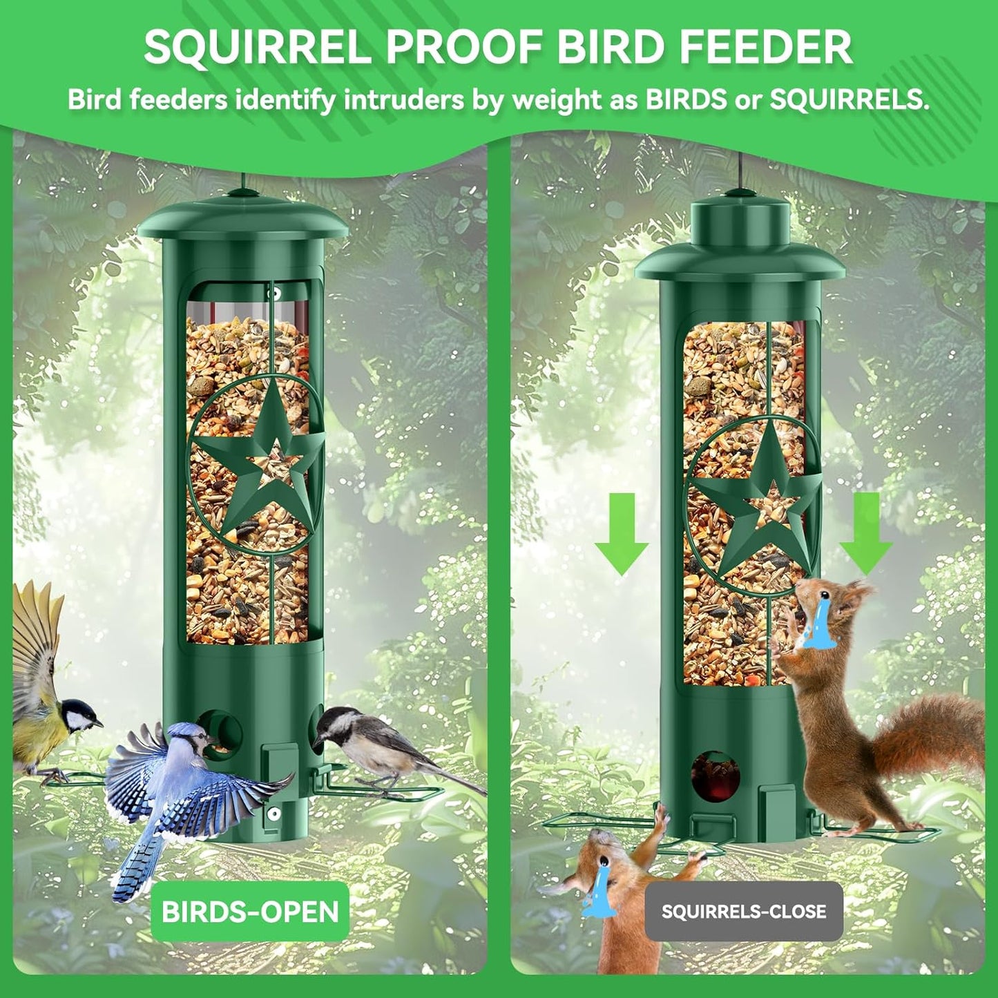 Squirrel Proof Bird Feeders for Outdoors Hanging, Metal Squirrel Proof Bird Feeder with Gravity Protection, 3LB Large Capacity Wild Bird Feeders for Outside Finch, Cardinal, Blue Jay (Green)
