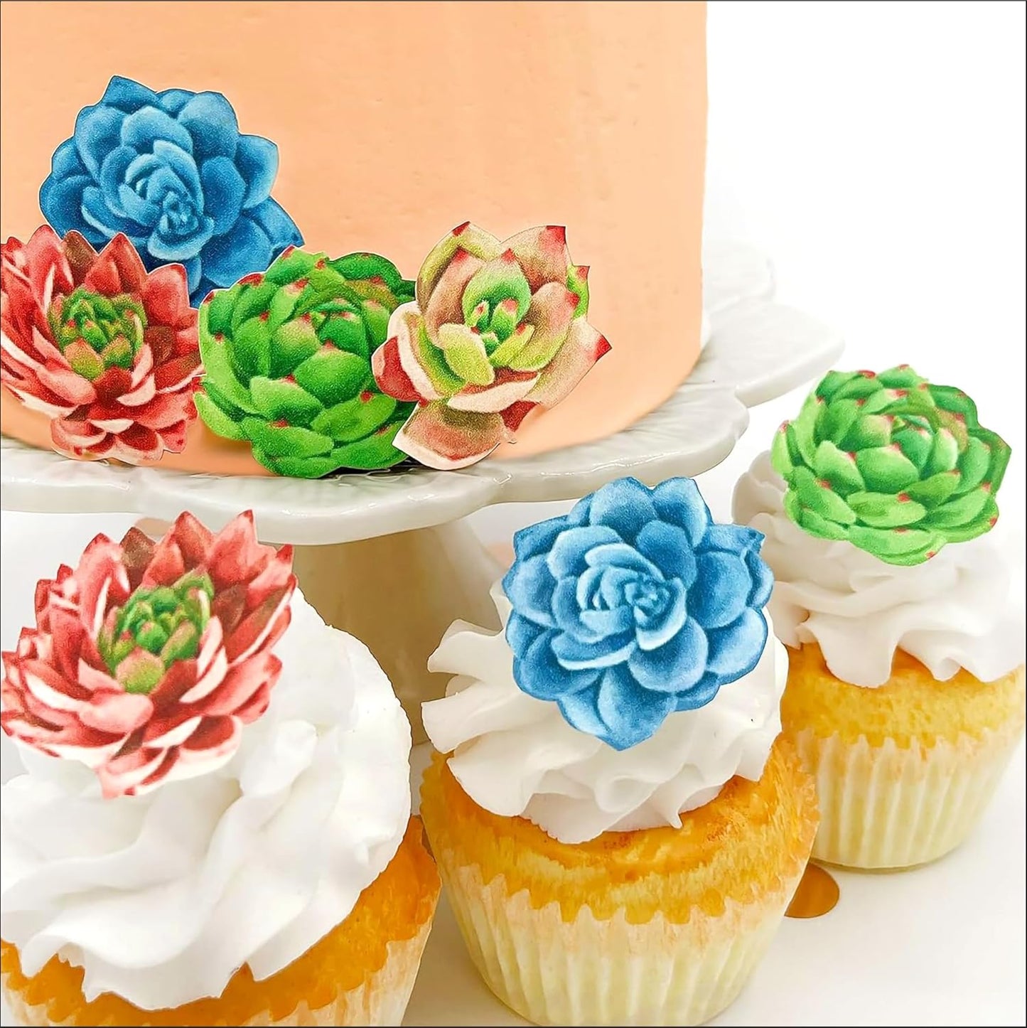 Edible Wafer Succulents - Cake and Cupcake Toppers, Decoration Premium Crafted in the USA