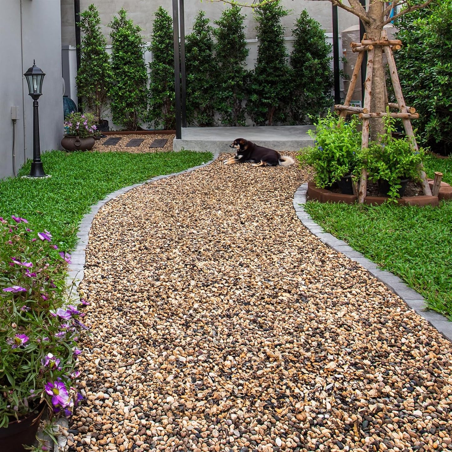 10 lbs Aquarium Gravel, 2-4mm Fish Tank Gravel, Succulent Cactus Pea Gravel for Indoor Plants, River Rocks for Gardening, Flower Pots, Vase Fillers, Garden Landscaping