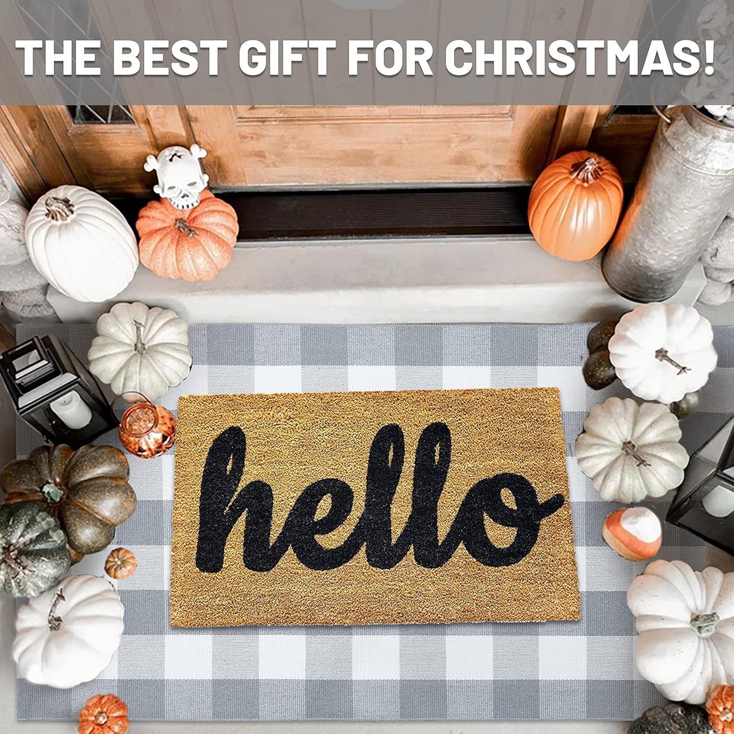 IOHOUZE Buffalo Plaid Checkered Rug 3x5 Ft Front Door Mats, Washable Area Rugs for Front Porch Decor, Spring Summer Welcome Mats Outdoor, Gray White Rug for Farmhouse/Entryway/Home Entrance