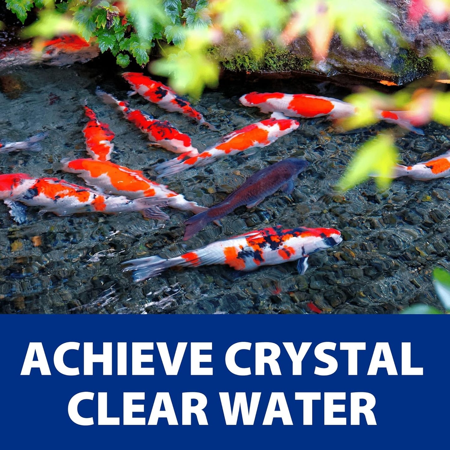 The Pond Guy AllClear G2 Bio Pressure Filter & Ultraviolet Light Clarifier with Backflush System, Pressurized External UVC Biological & Mechanical Filtration, Koi Fish Water Garden, All Clear 3500