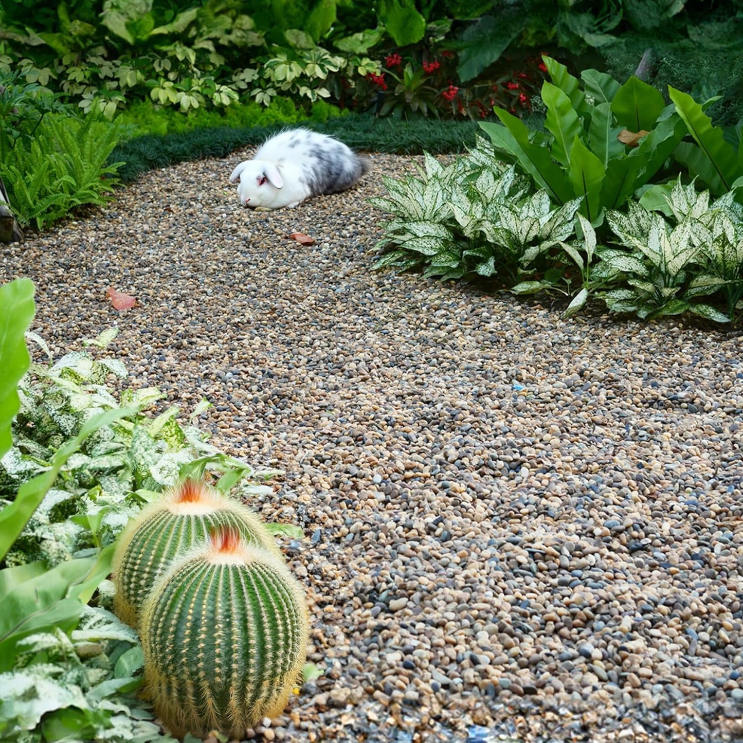 Aquarium Gravel 10 lbs, 3-6mm Fish Tank Gravel, Succulent Cactus Pea Gravel for Indoor Plants, River Rocks for Gardening, Flower Pots, Vase Fillers, Garden Landscaping